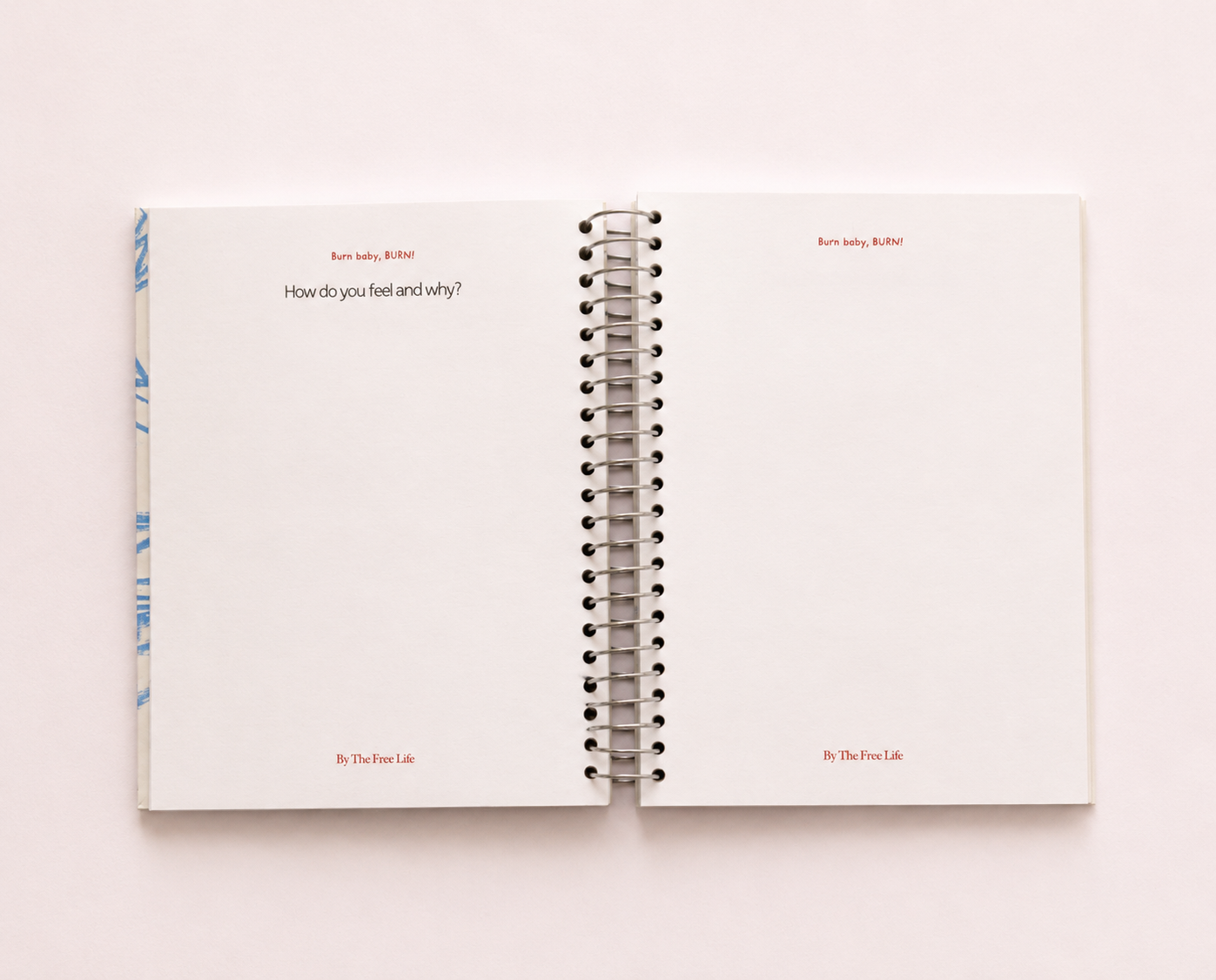 The Burn Book